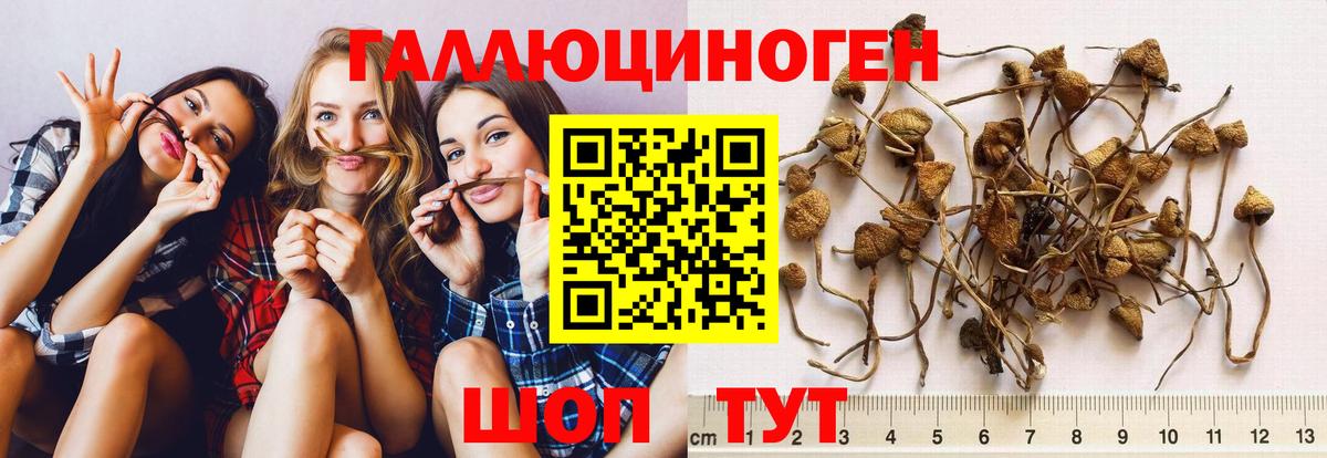 Псилоцибиновые грибы MAGIC MUSHROOMS Острогожск