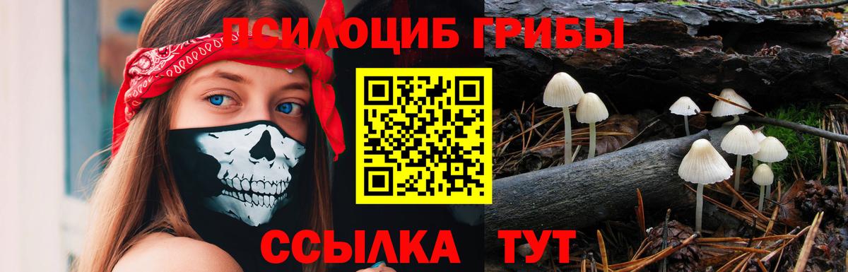 Острогожск  Псилоцибиновые грибы Psilocybine cubensis  Вход с VPN 